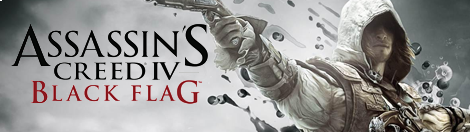 Banner Assassins Creed IV Black Flag