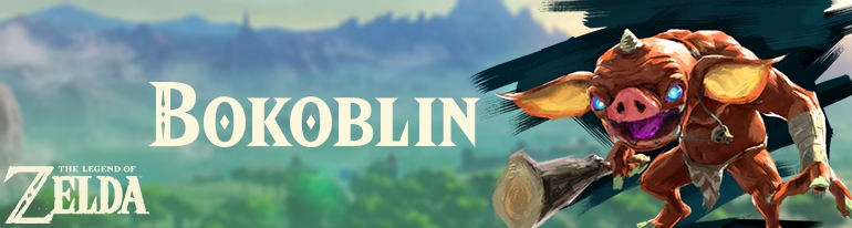 Banner Bokoblin - The Legend of Zelda Collection