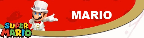 Banner Mario bruiloft - Super Mario series