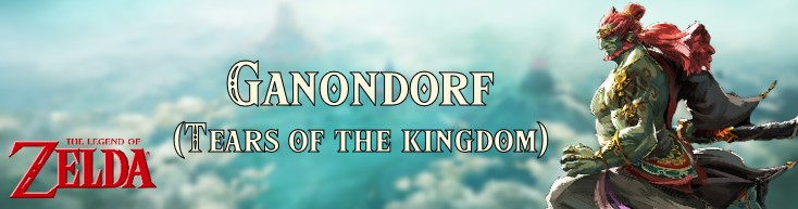 Banner Ganondorf Tears of the Kingdom - The Legend of Zelda Collection