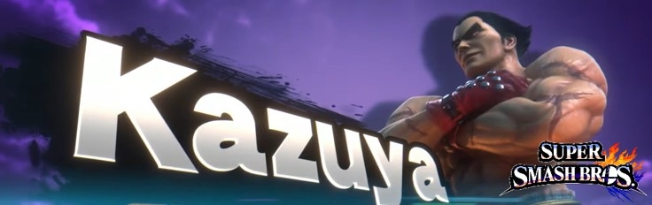 Banner Kazuya Nr 91 - Super Smash Bros series