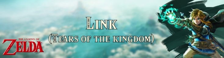 Banner Link Tears of the Kingdom - The Legend of Zelda Collection