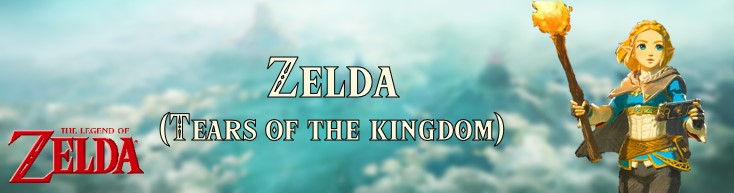 Banner Zelda Tears of the Kingdom - The Legend of Zelda Collection