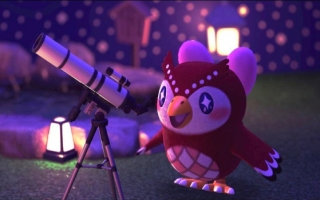 Gebruik deze amiibo ook met <a href = https://www.mariowii-u.nl/Wii-U-spel-info.php?t=Animal_Crossing_amiibo_Festival>Animal Crossing</a>: New Horizons (Switch)!